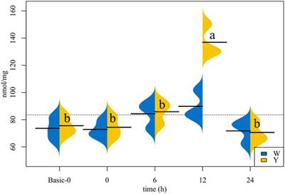 Different responses to glucose overload between two strains of largemouth bass (Micropterus salmoides)